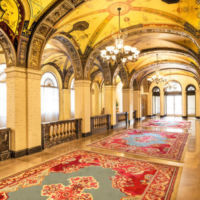 Custom 5 Star Hotel Bankettsaal Teppich und Teppich hohe Qualität Teppich Dichte 7x7-7x12