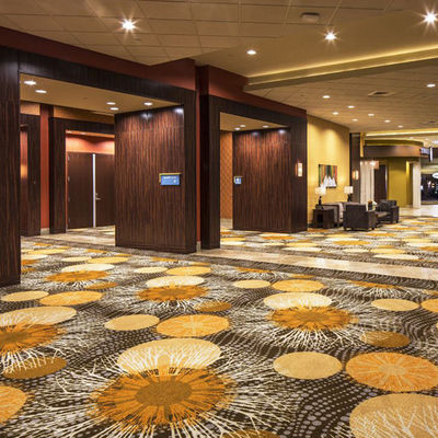 5 Sterne Alfombras Hotel Stil Bankettsaal Axminster Teppich Abstraktes Muster MACHINE MADE