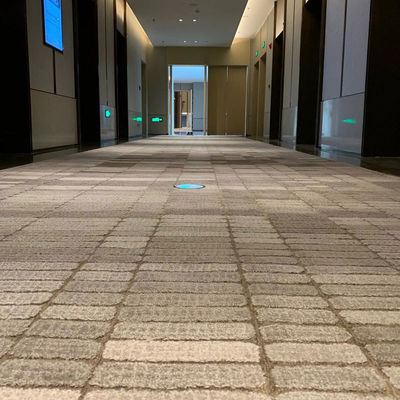 Maßgeschneiderter Wohnzimmer Dekorationsbereich Teppich Hand Tufted Teppich Wolle Teppich Alfombra